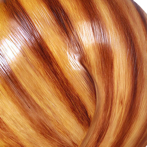 Male Snail