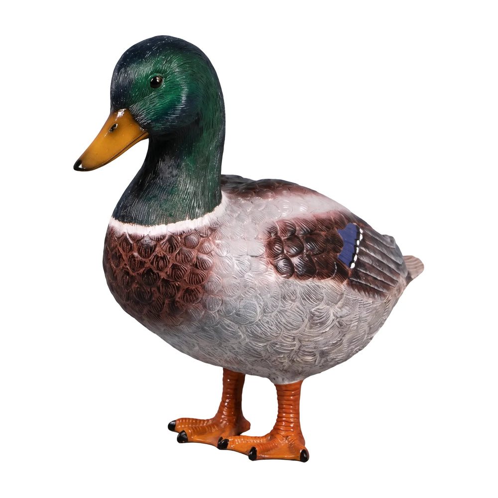 Mallard Duck 24" (not in USA/Canada)