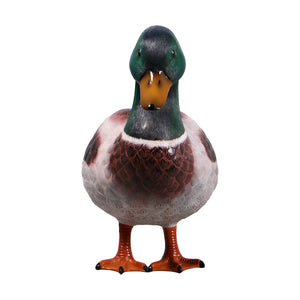 Mallard Duck 24" (not in USA/Canada)