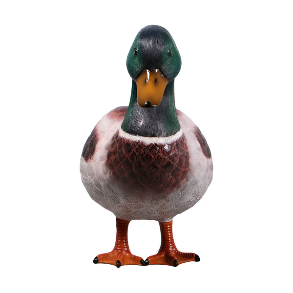 Mallard Duck 24" (not in USA/Canada)