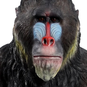Mandrill