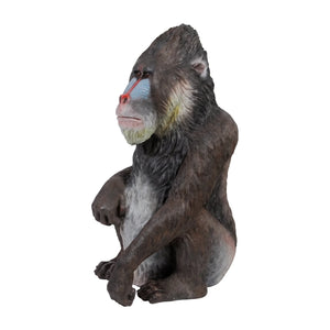 Mandrill