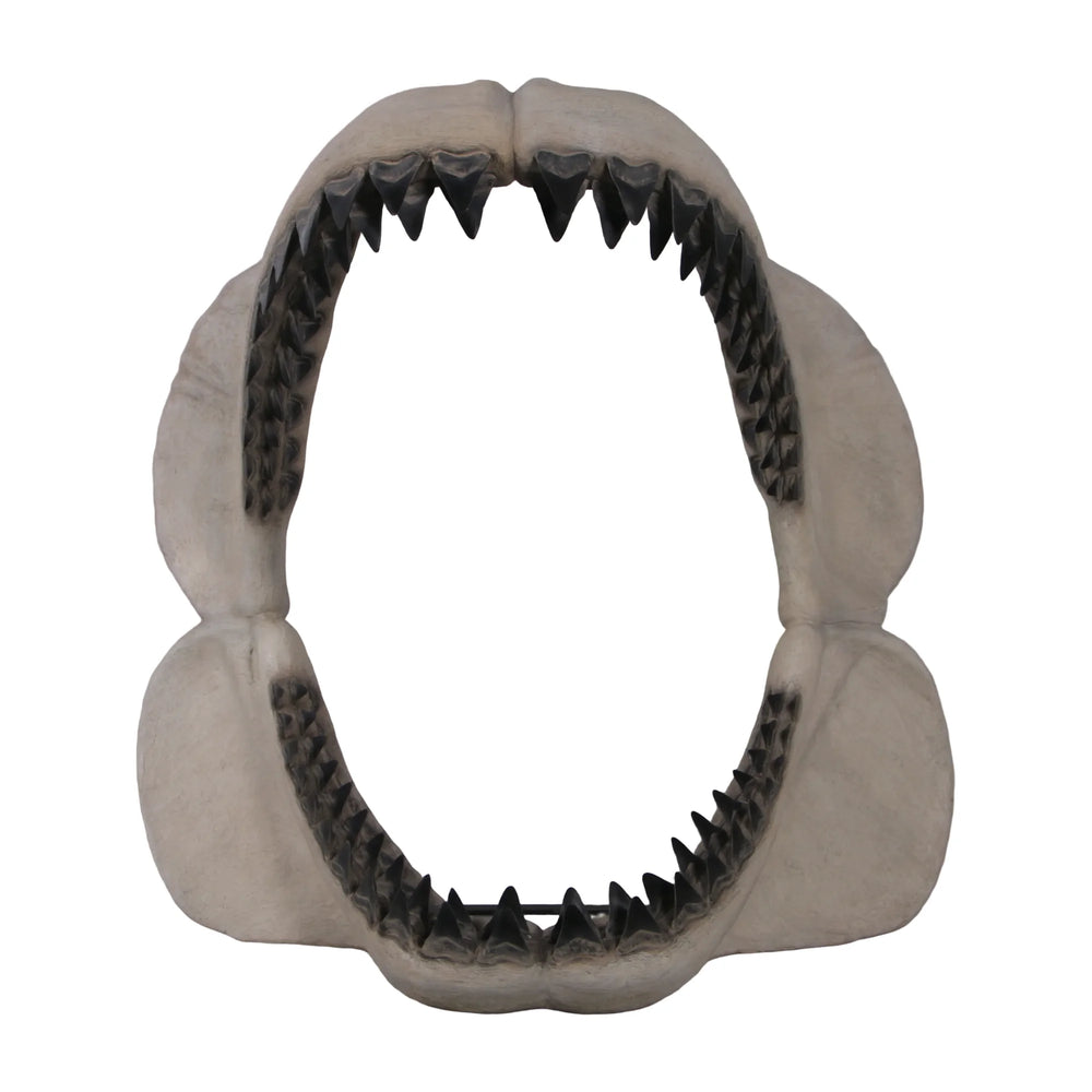 Megalodon Jaw 50" H