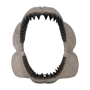Megalodon Jaw 50" H