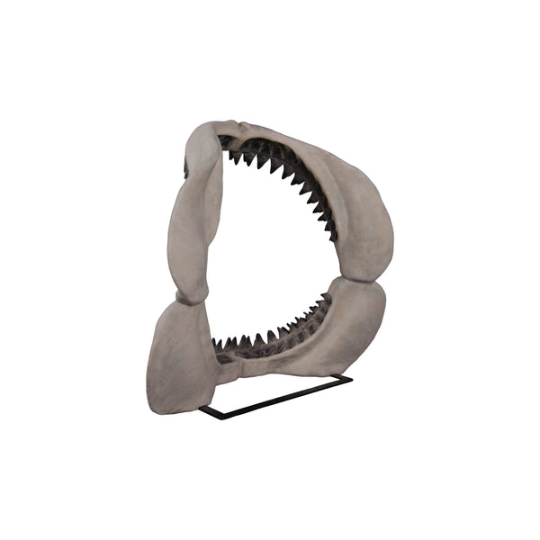 Megalodon Jaw 50" H