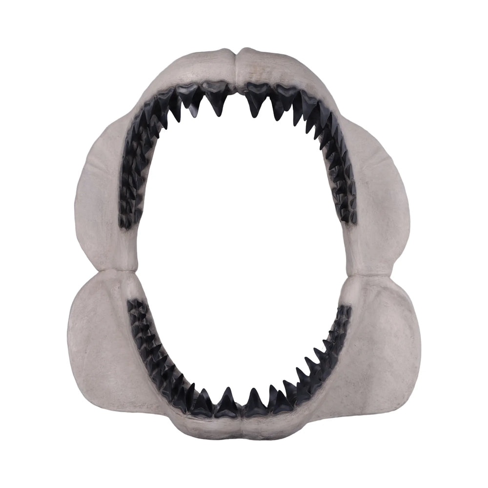 Megalodon Jaw 50"H - Wall Decor