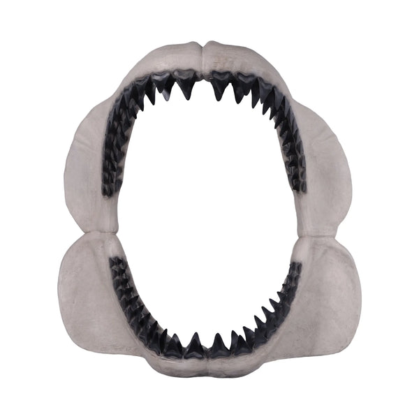 Megalodon Jaw 50"H - Wall Decor