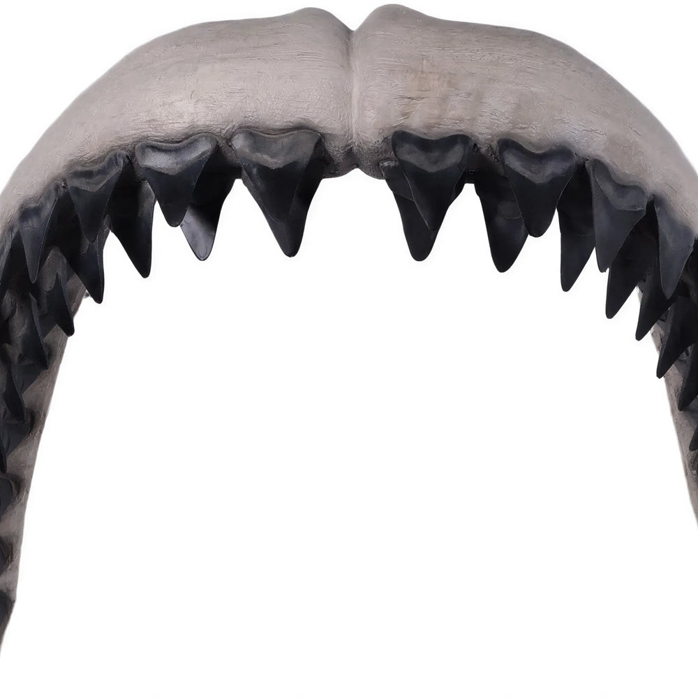 Megalodon Jaw 50"H - Wall Decor