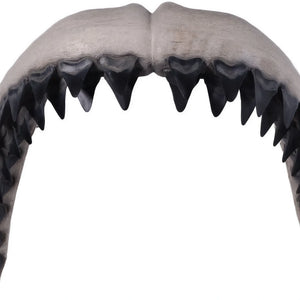 Megalodon Jaw 50"H - Wall Decor
