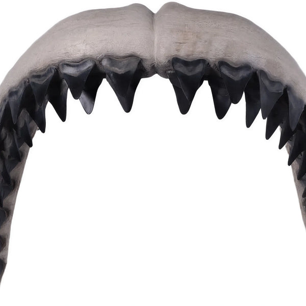 Megalodon Jaw 50"H - Wall Decor