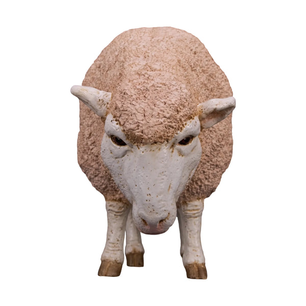 Merino Ewe (Not in Aus)