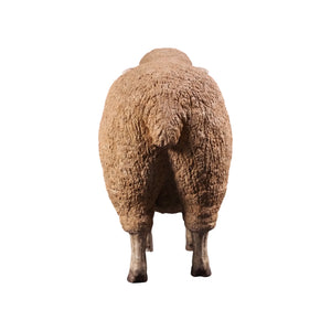 Merino Ewe Head Up (Not in Aus)
