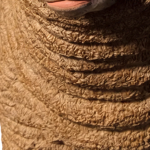 Merino Ewe Head Up (Not in Aus)