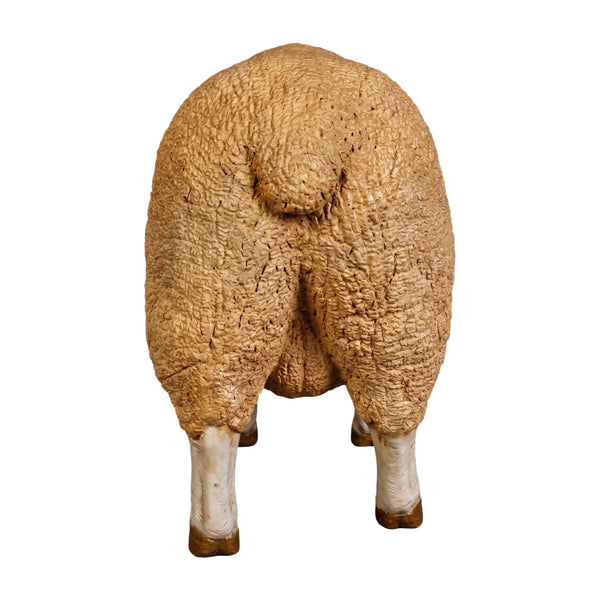 Merino Ewe - small (not Aus / in Benelux)