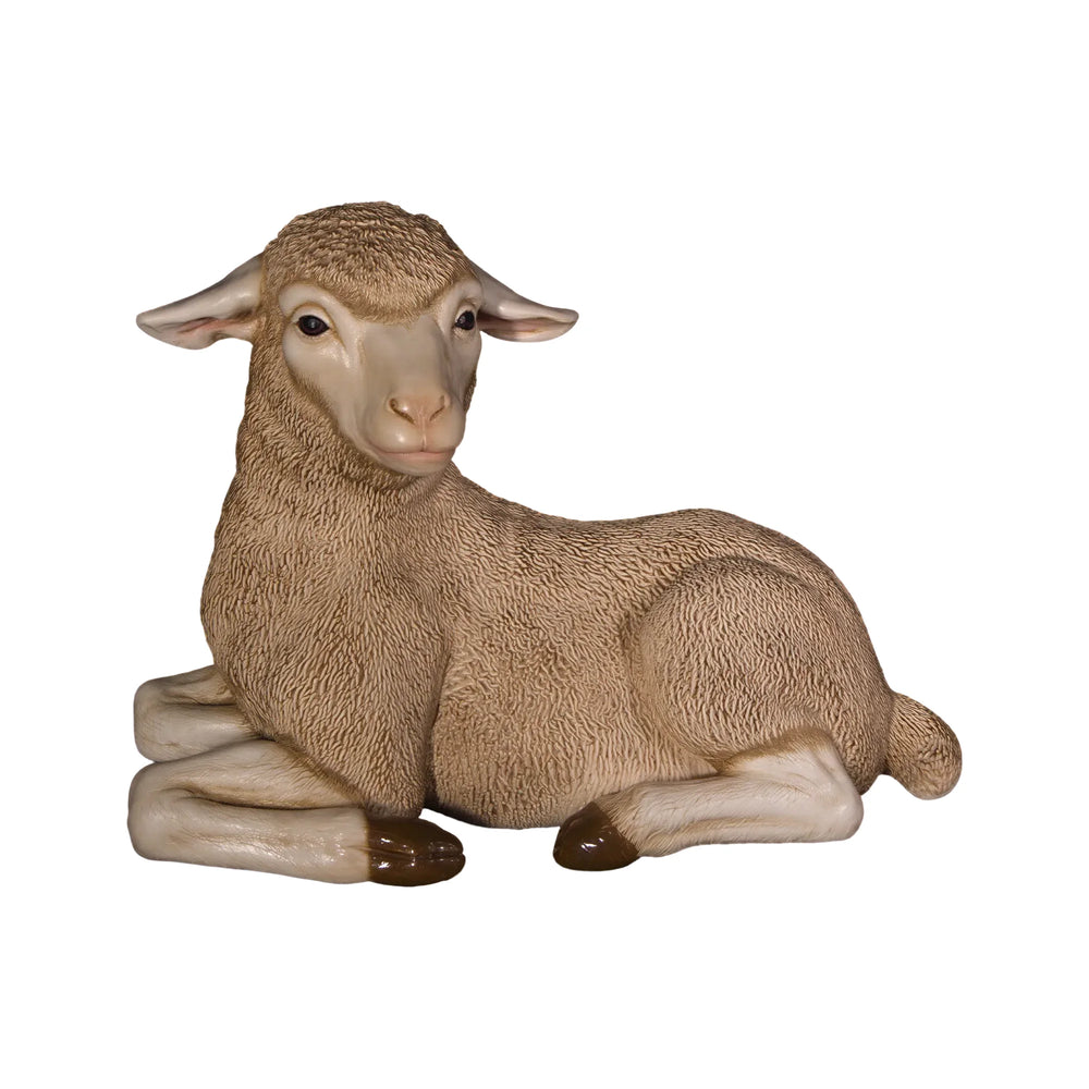Merino Lamb (Not in Aus)