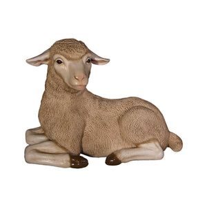 Merino Lamb (Not in Aus)