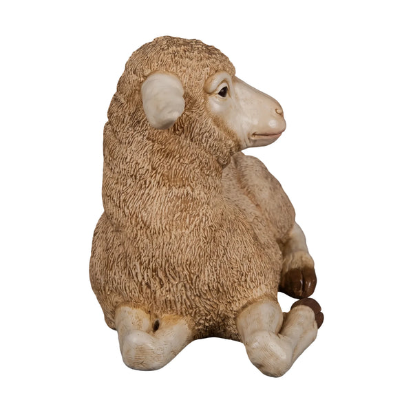 Merino Lamb (Not in Aus)