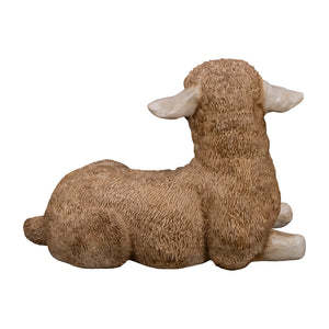 Merino Lamb (Not in Aus)