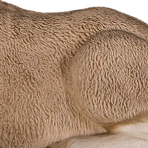 Merino Lamb (Not in Aus)