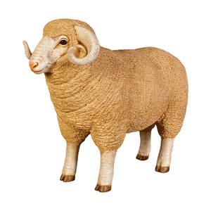 Merino Ram - small (not in Aus / Benelux)