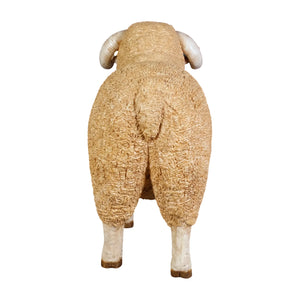 Merino Ram - small (not in Aus / Benelux)