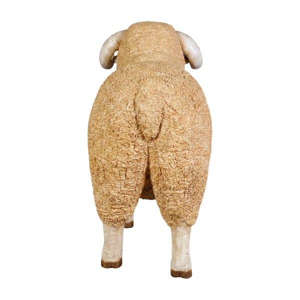 Merino Ram - small (not in Aus / Benelux)