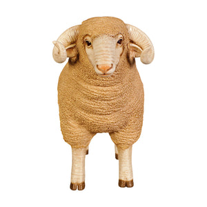 Merino Ram - small (not in Aus / Benelux)