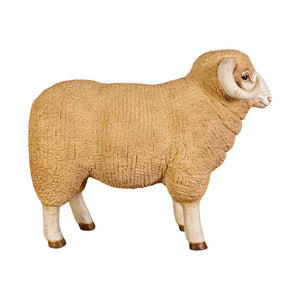 Merino Ram - small (not in Aus / Benelux)