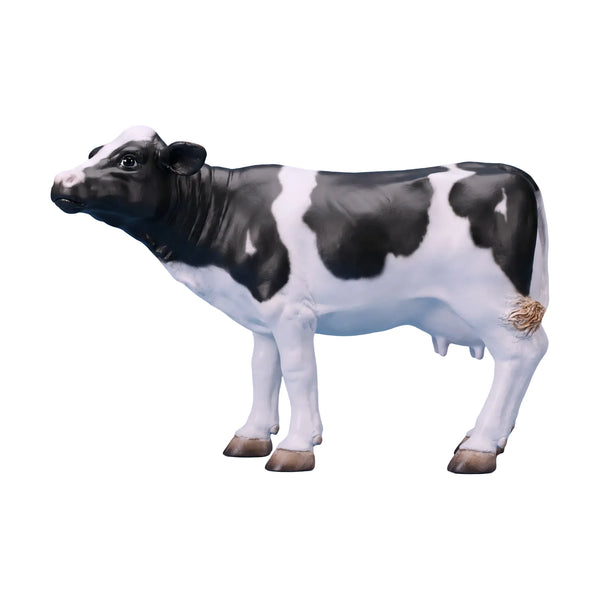 Mini Cow