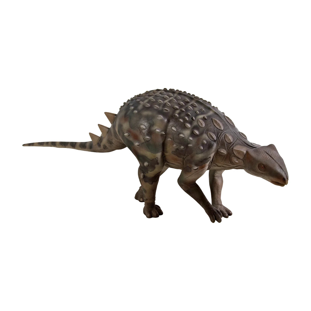 Minmi Ankylosaur (Not In Aus)