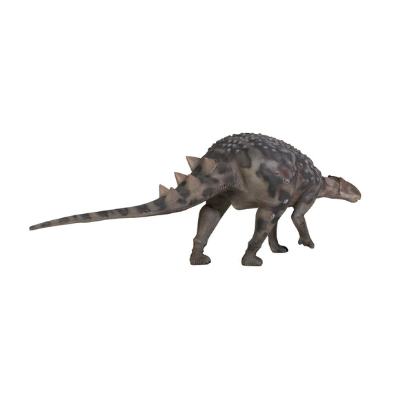 Minmi Ankylosaur (Not In Aus)