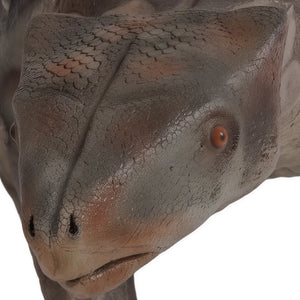 Minmi Ankylosaur (Not In Aus)