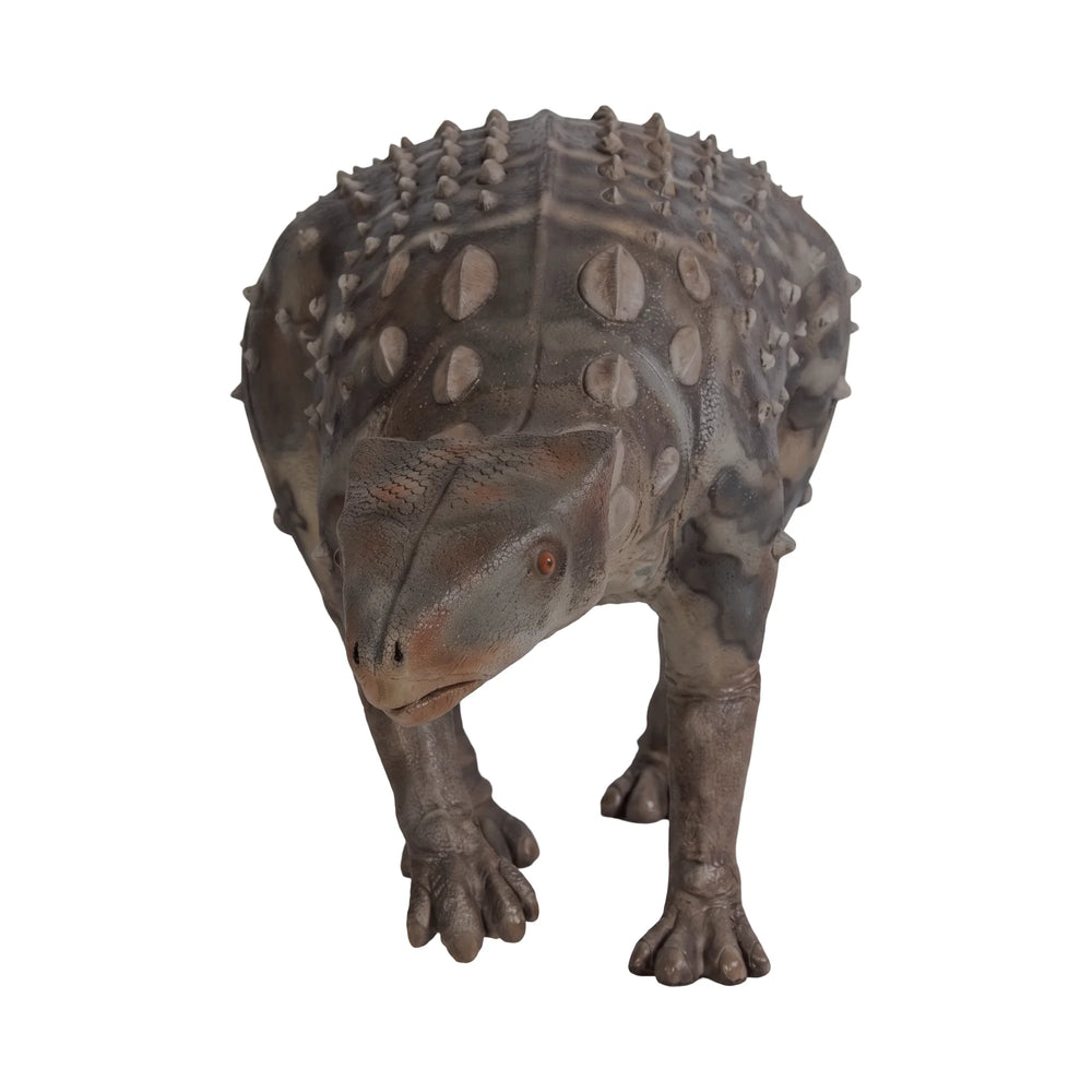 Minmi Ankylosaur (Not In Aus)