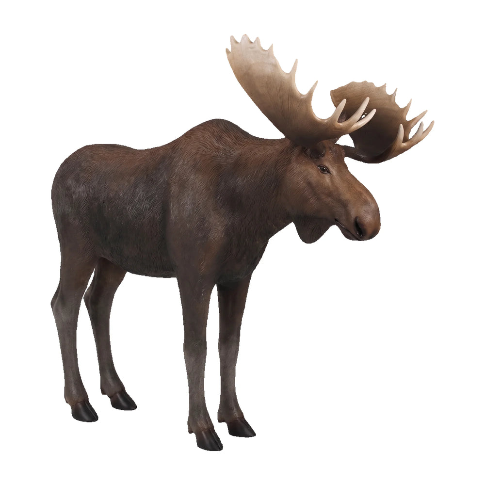Moose