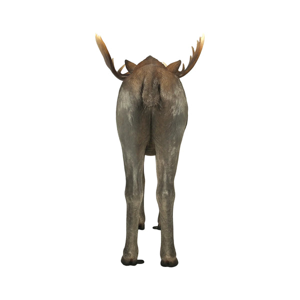 Moose