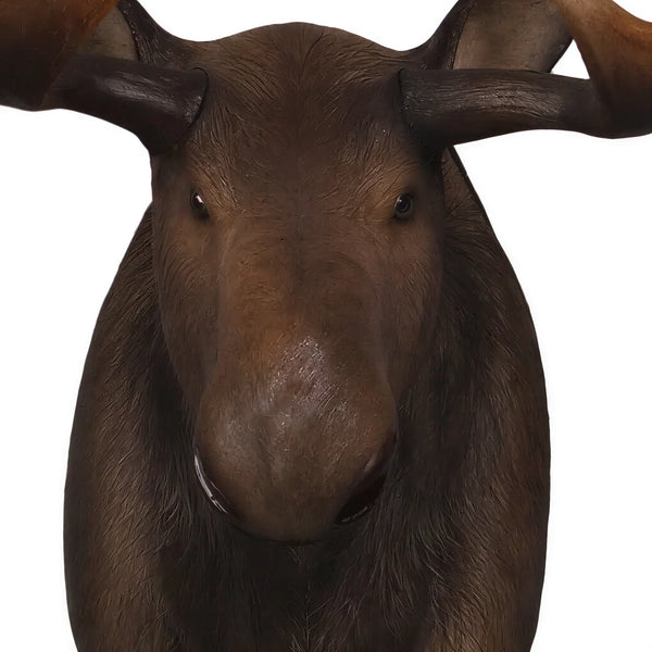 Moose