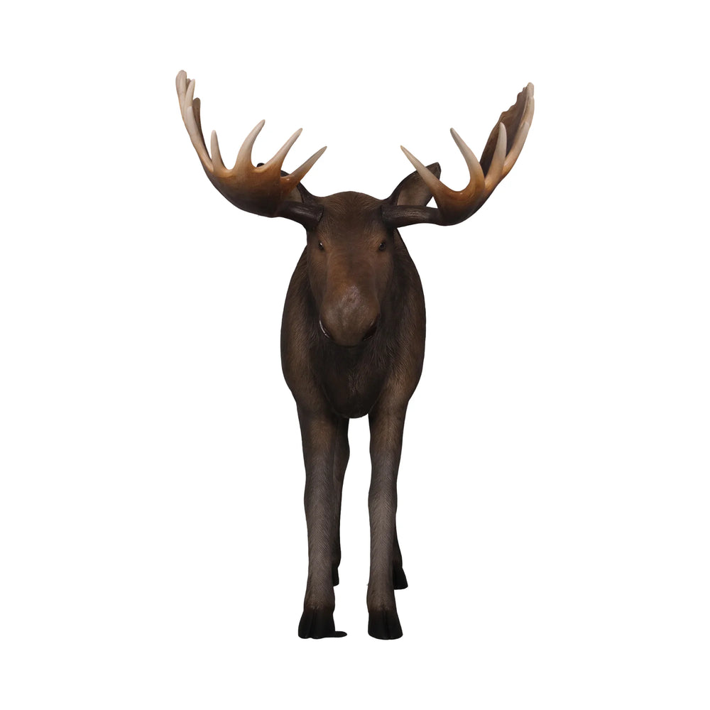 Moose