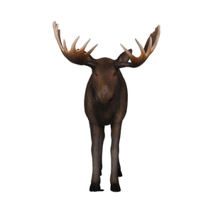 Moose