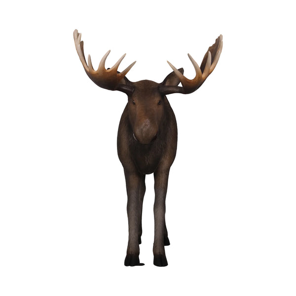 Moose