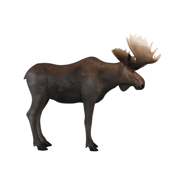 Moose
