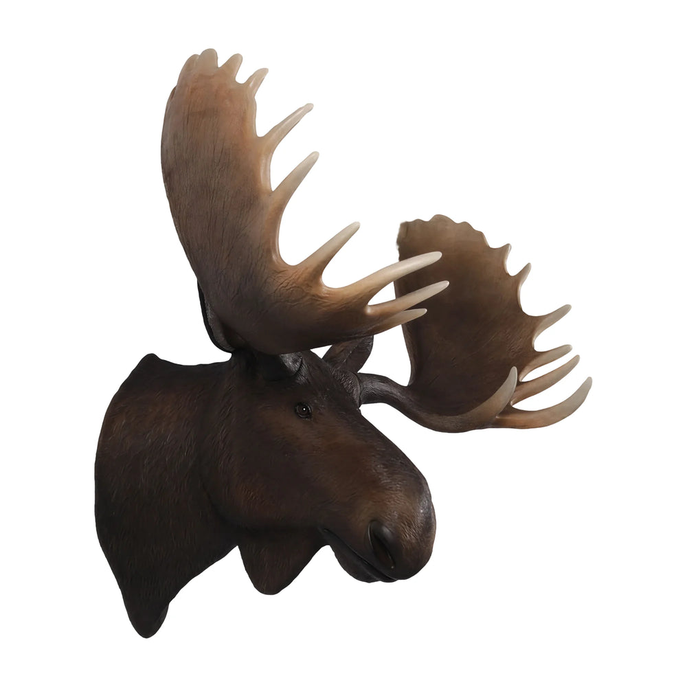 Moose Head Wall Decor