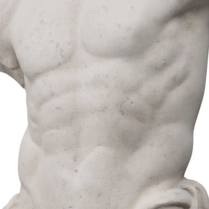 Narcissus Male Torso Wall Sculpture