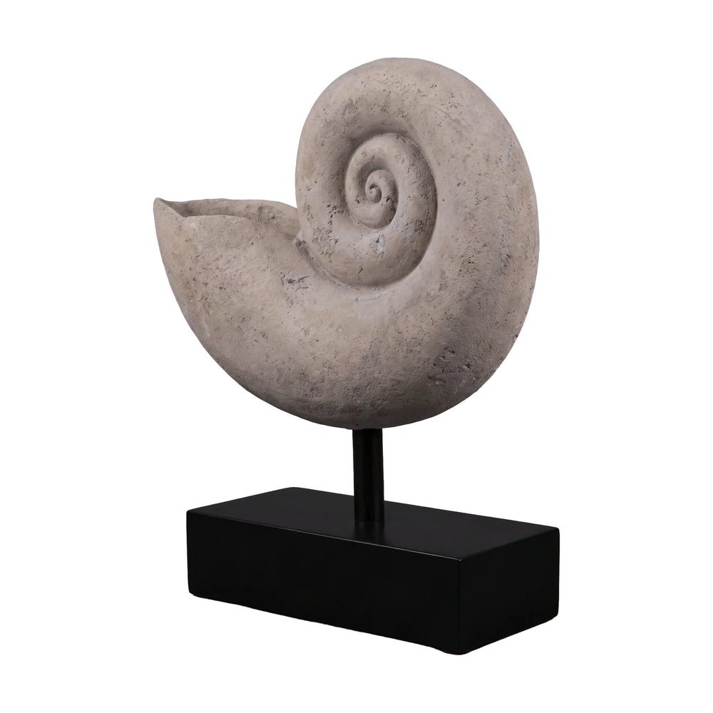 Nautilus Shell Large