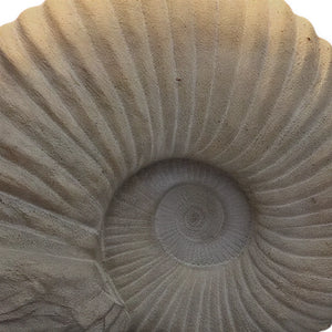 Nautilus Table Lumiere