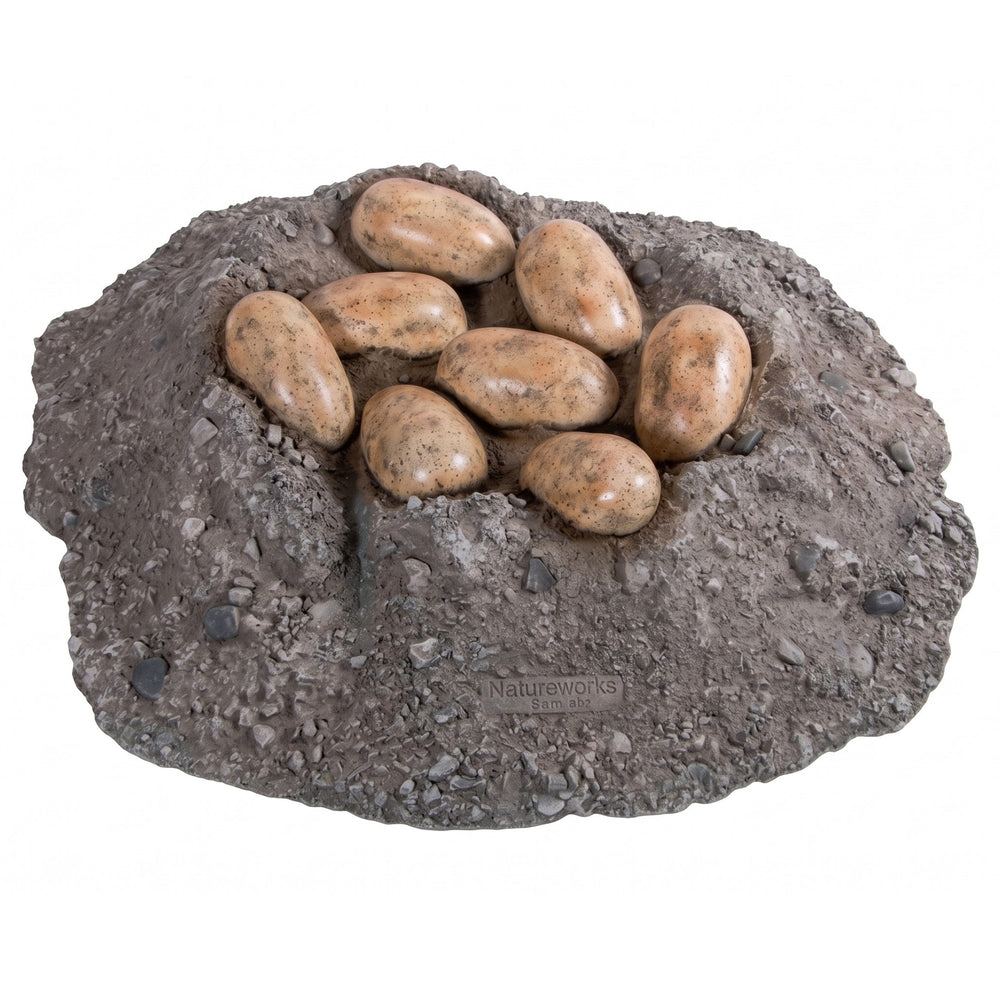 Nest With Dinosaur Eggs (Not In Aus/Nz)