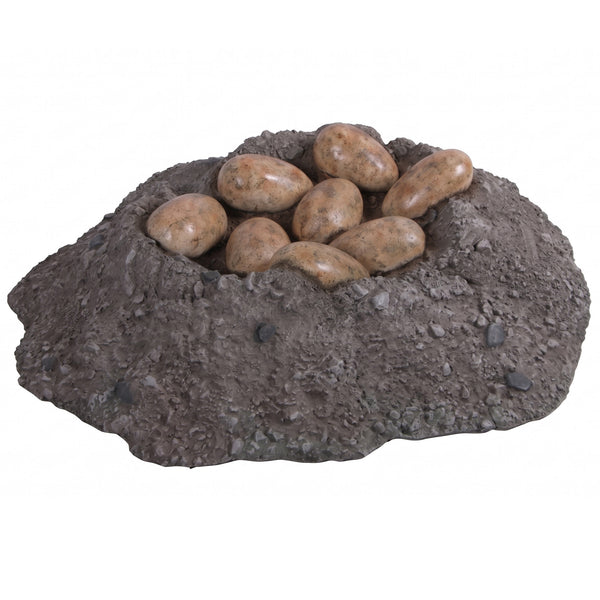 Nest With Dinosaur Eggs (Not In Aus/Nz)