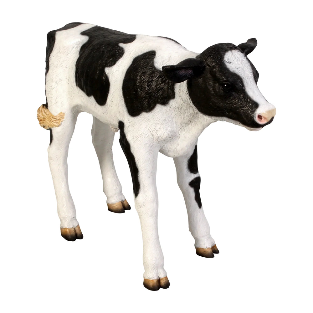 New Born Calf