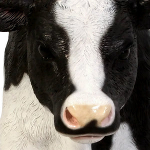 New Born Calf