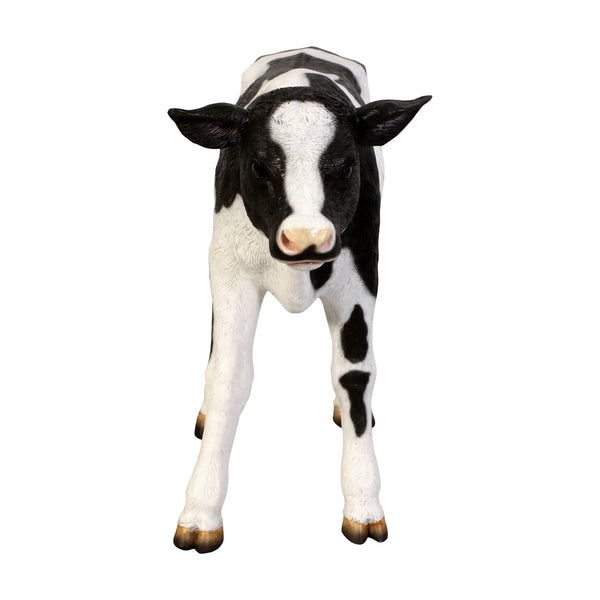 New Born Calf