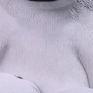 Heinimex Peeking Polar Bear Cub animal figure, textured faux-fur and sculpted ice finish, playful winter holiday display style close up detail